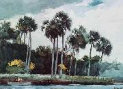 Winslow Homer Red Shirt, Homosass oil painting